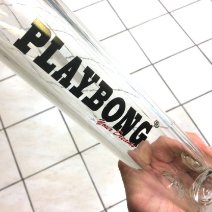 logo playbong your dreams