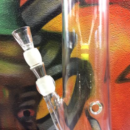 pit bull bong en verre