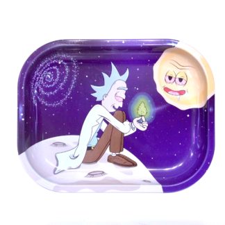 plateau rick et morty the little r