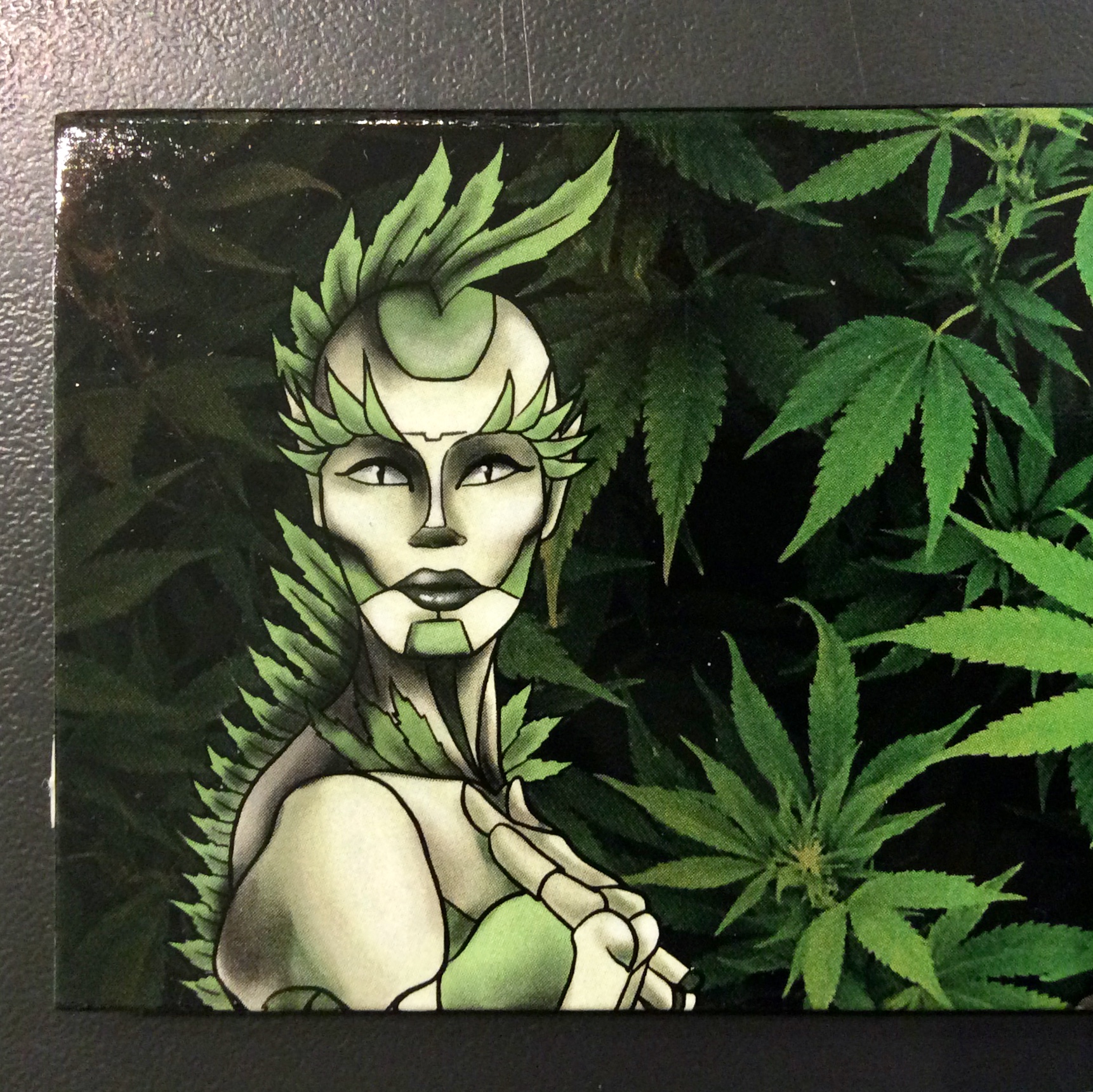 cannaklan feuilles cartons