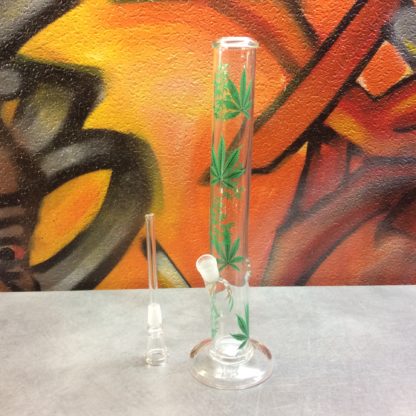 Bong avec feuilles de canna