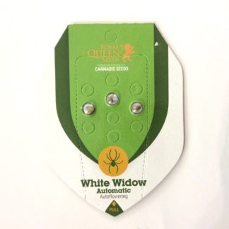 white widow autoflo