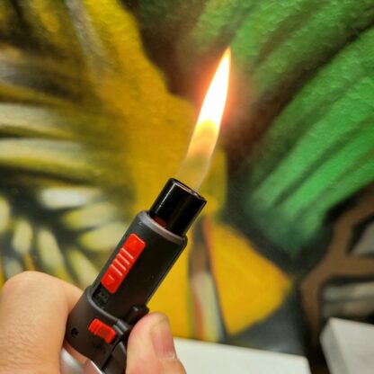 briquet biflamme normale