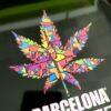bercelona legalize