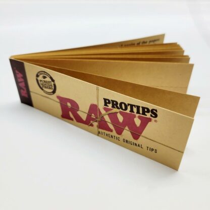 protips raw grands cartons